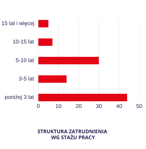 Struktura zatrudnienia wg stażu pracy